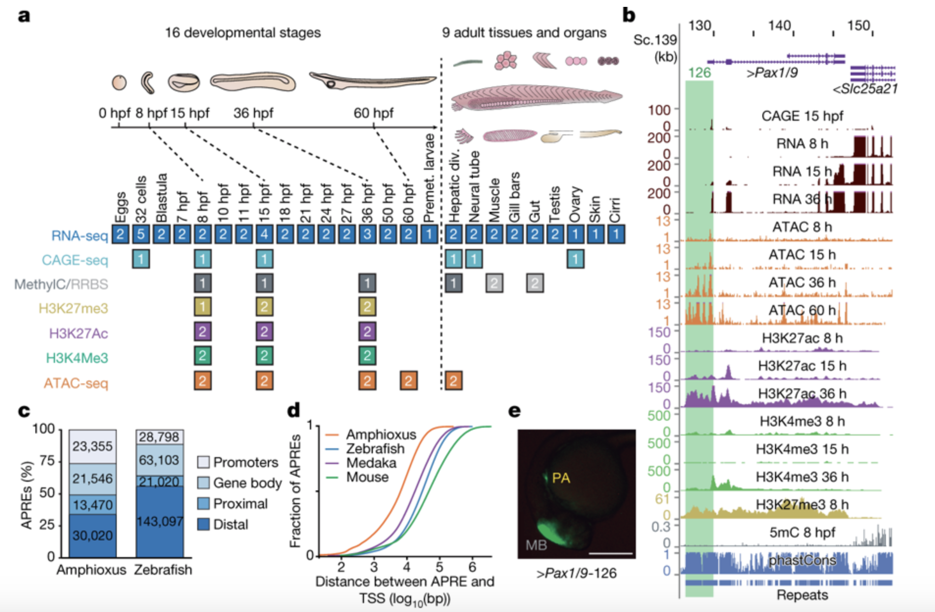 Screen Shot 2018-12-02 at 7.24.22 am