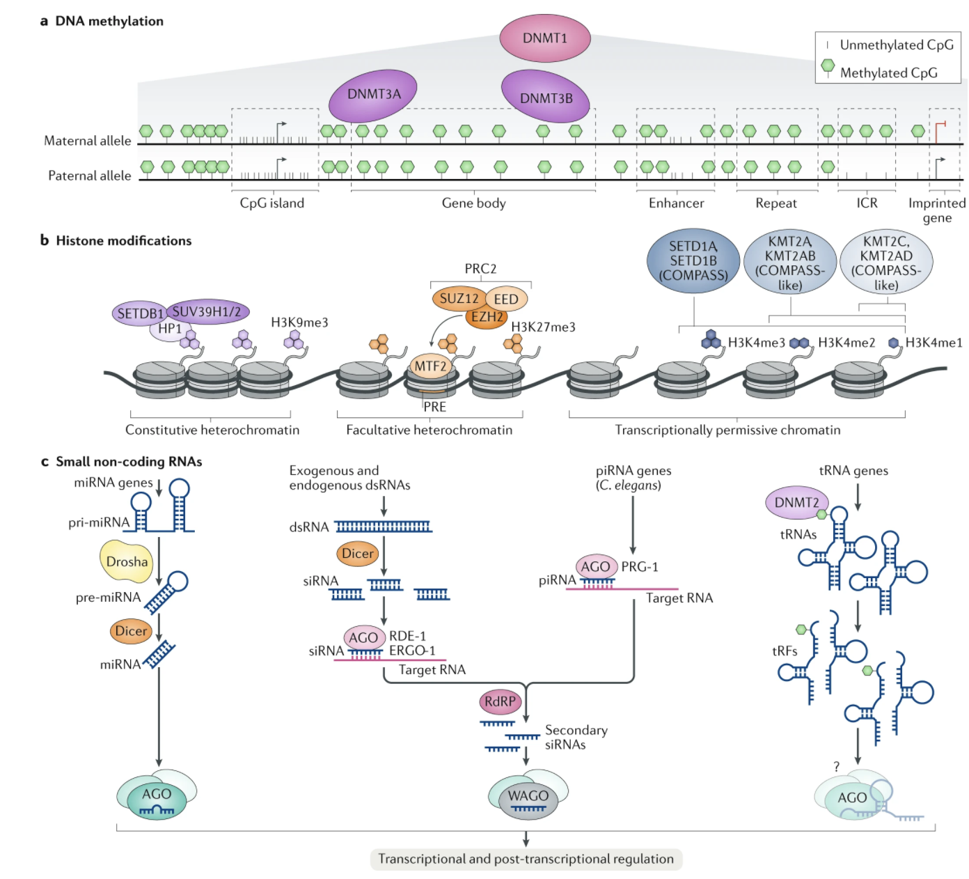 Screen Shot 2020-06-15 at 11.07.23 am
